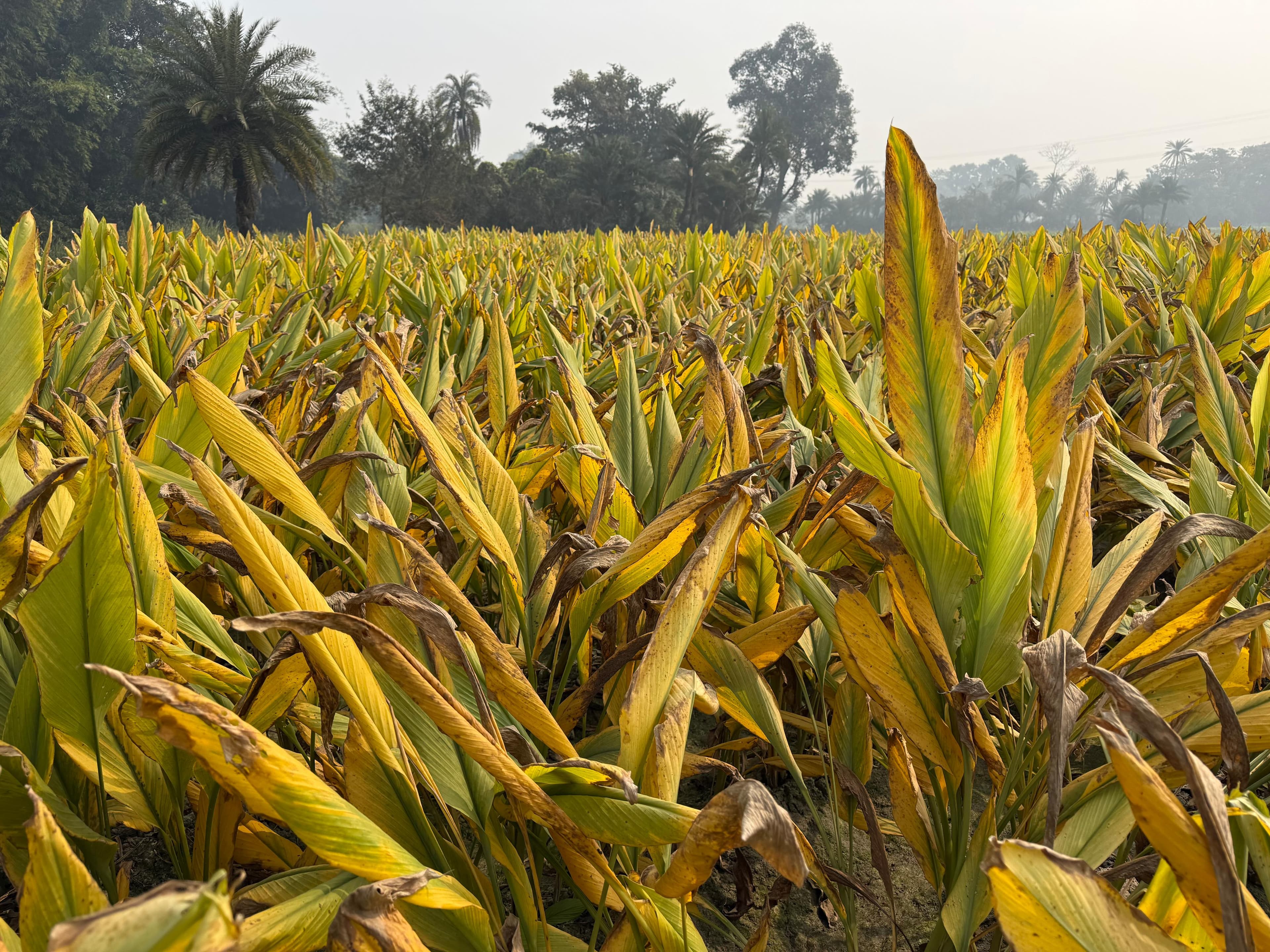 Why Small-Batch Processing Matters