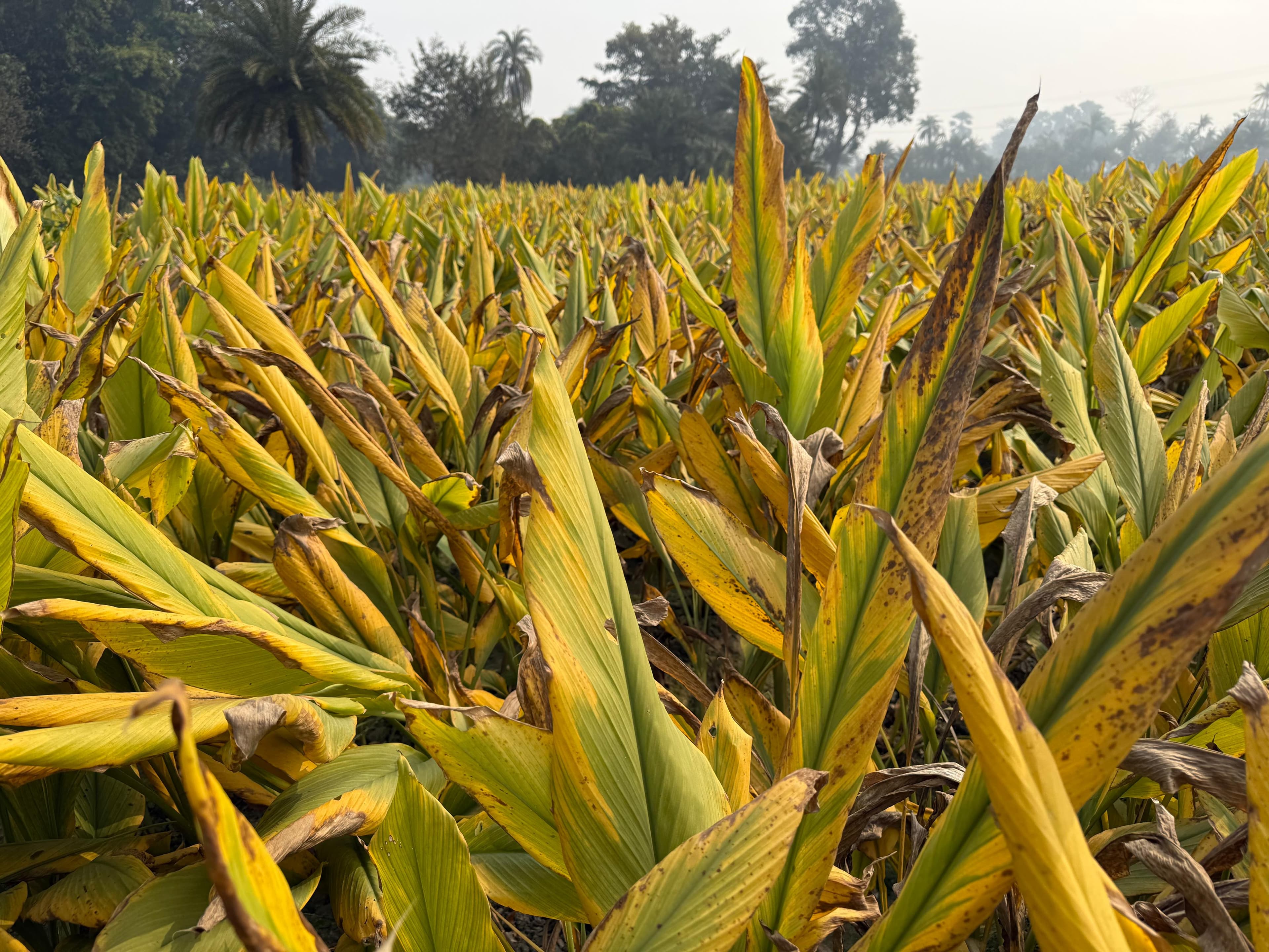 Building Trust Through Transparency