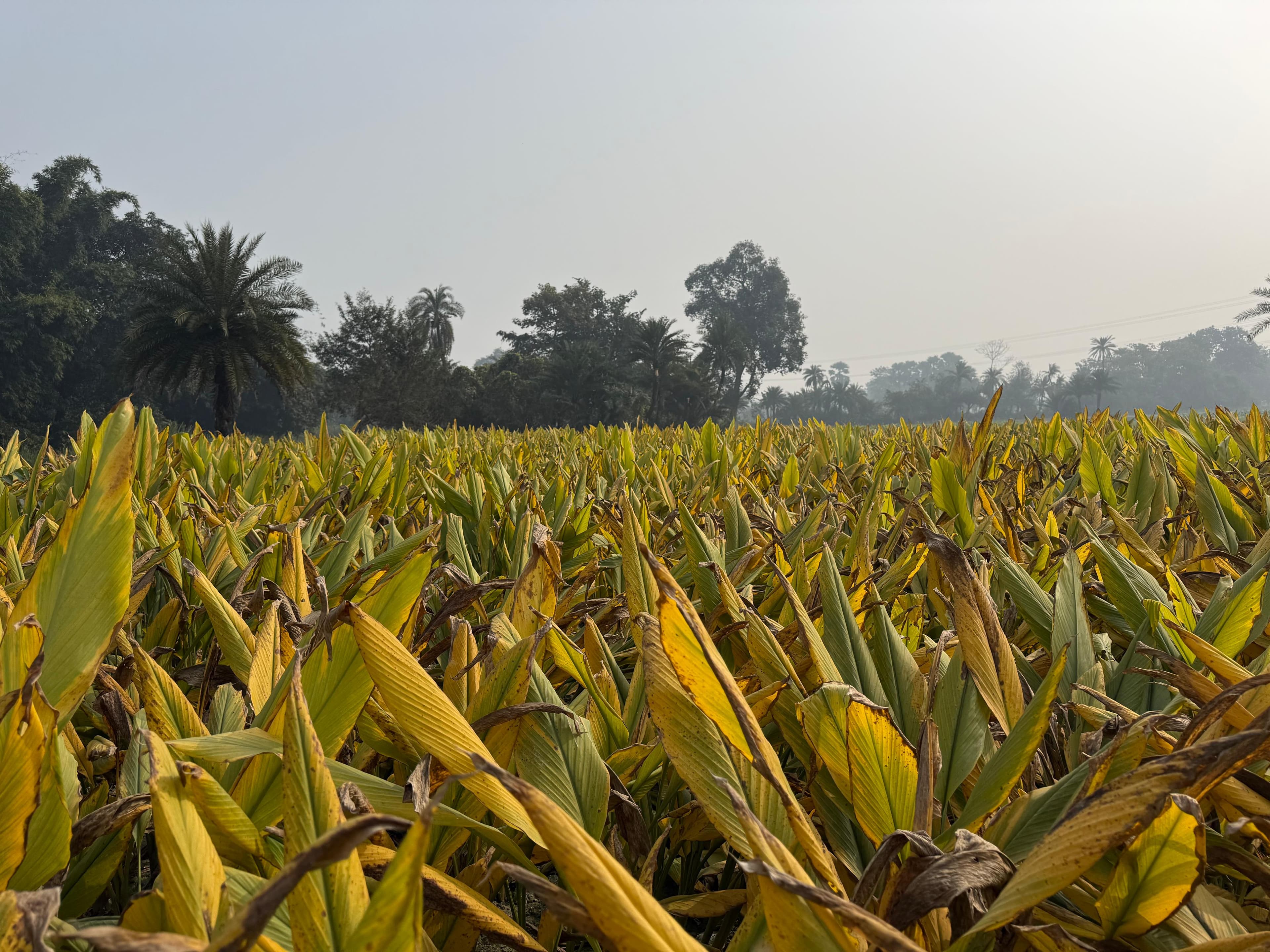 What 'Transparent Supply Chain' Actually Means (And Why We Care)