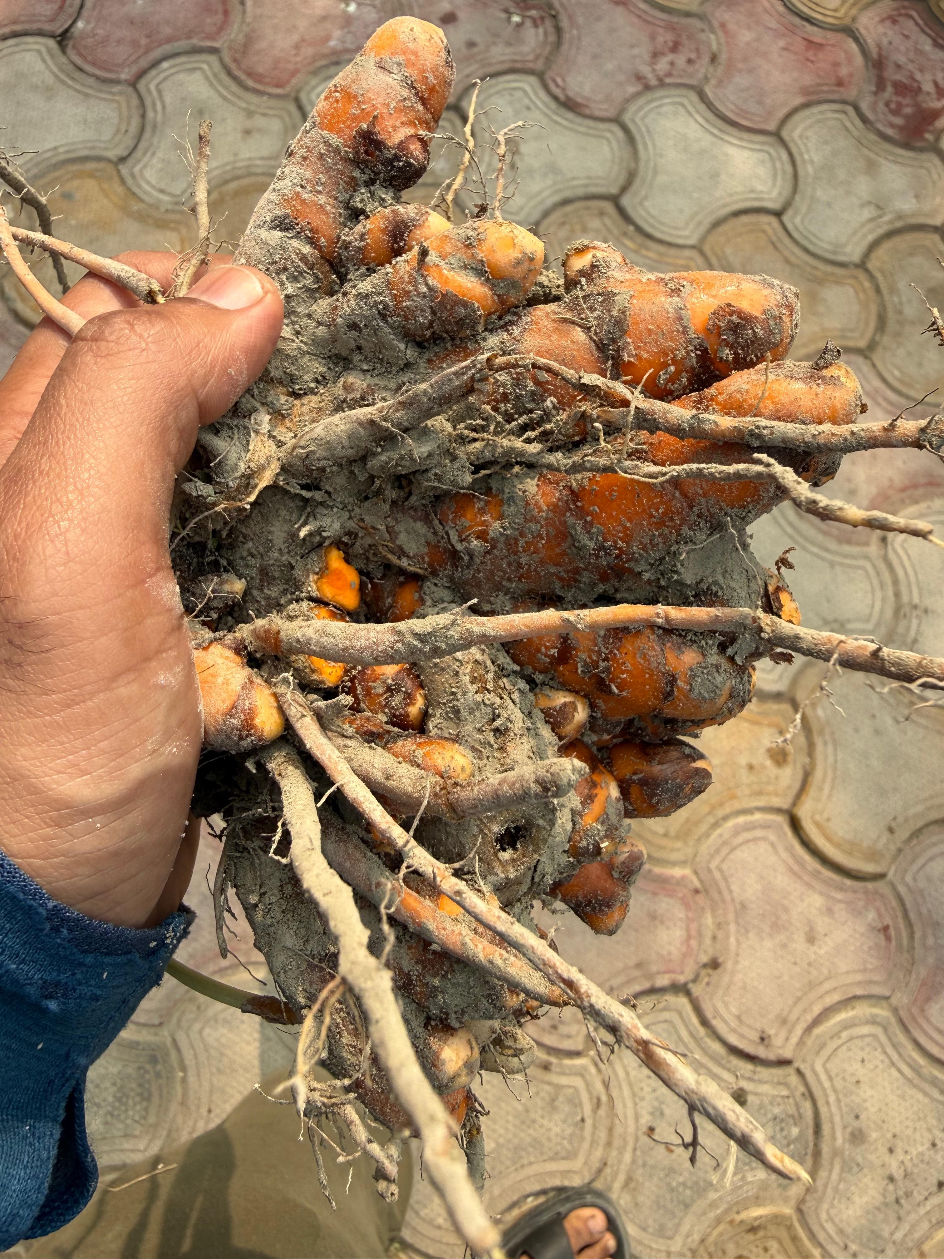 The Nutritional Benefits of Makhana